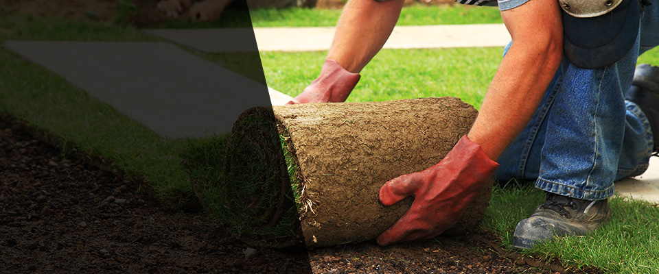 Frontenac Landscapers
